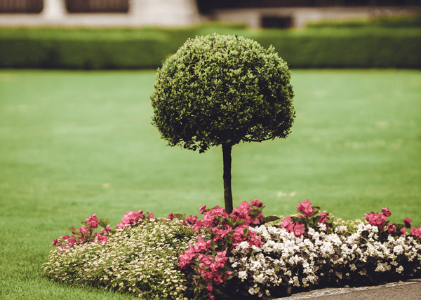 about us architect design landscape